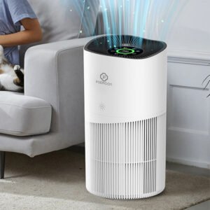 air purifiers